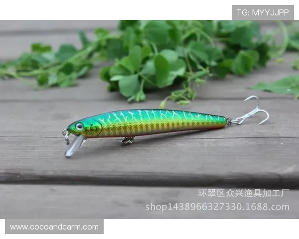 万博manbetx在线账号安全维护技巧保障个人信息安全的实用方法