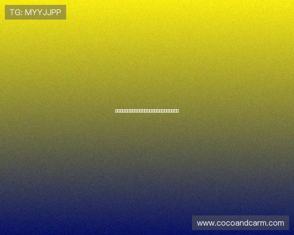 世界杯荷兰对阵日本比赛场地详细介绍与赛事氛围全景解析
